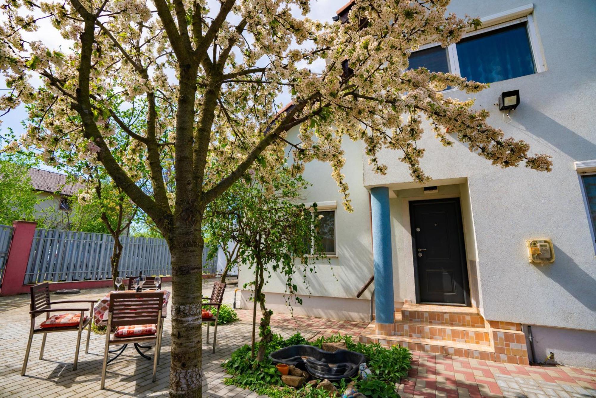 Pitstop Apartments Dumbravita  المظهر الخارجي الصورة